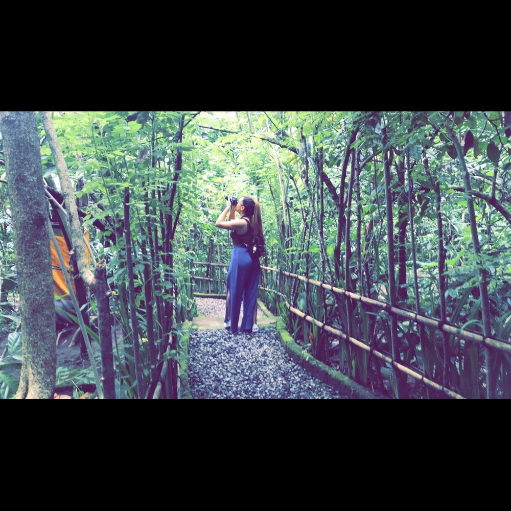 Meet your Posher, Ellise